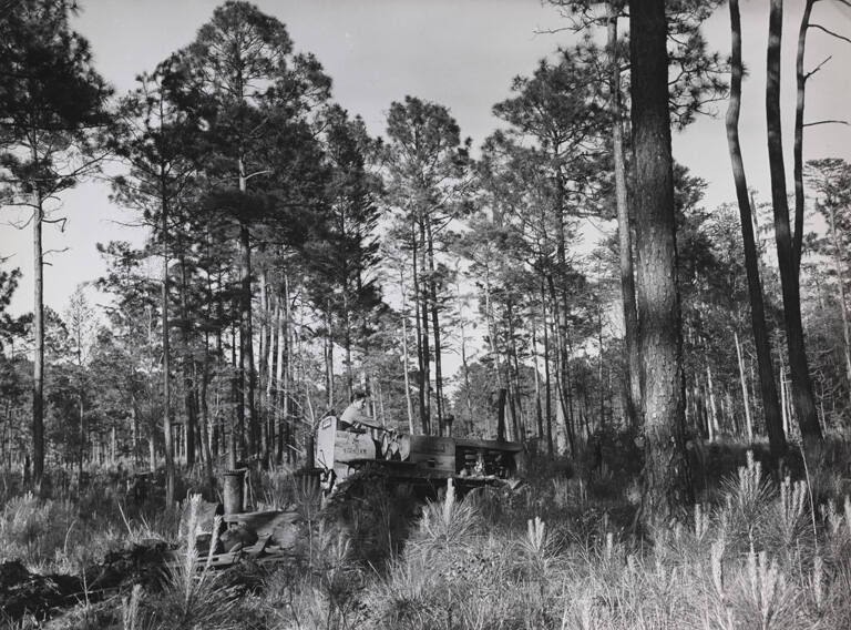 [Worker driving through the forest on a tractor, Savannah, GA]