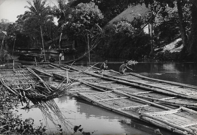Bamboo rafts docked in canal, Jakarta, Java