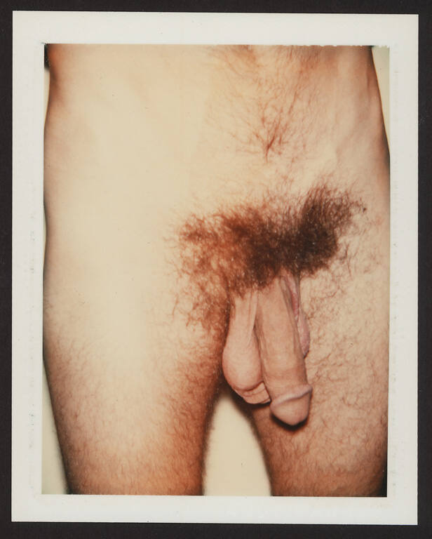 Nude model (male)