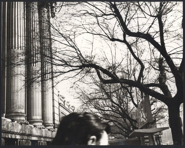 Spain: buildings and trees