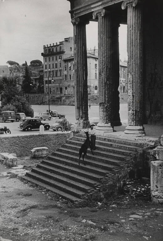 The colt Bicchierino snacking on grass at the Temple of Virile Fortune on the Tiber River, Italy