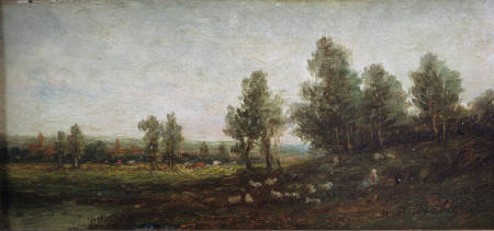 Landscape