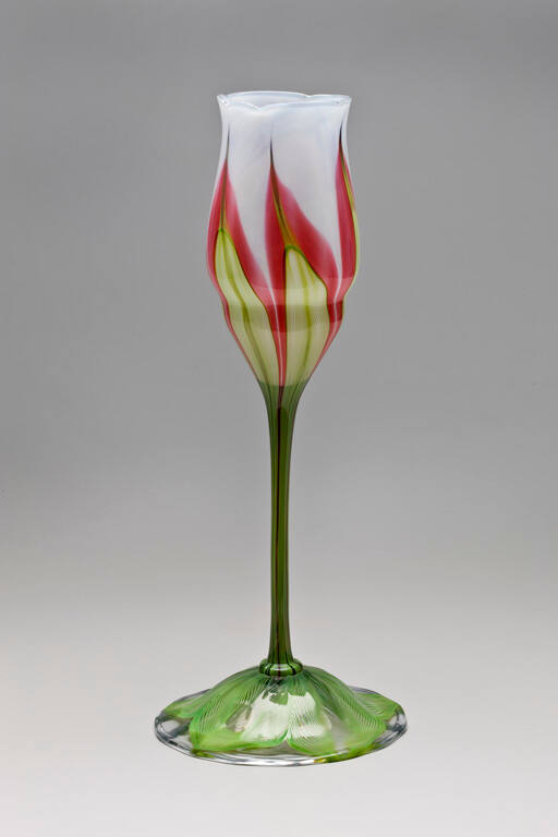 Vase with tulip and green leaves terminating in a white blossom