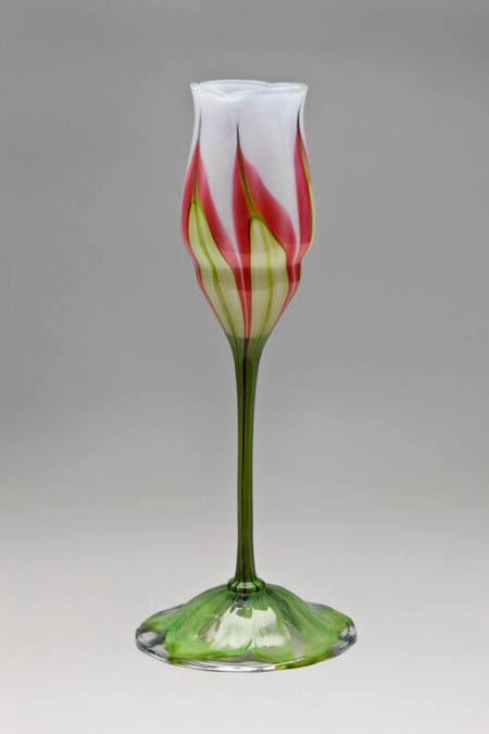 Vase with tulip and green leaves terminating in a white blossom