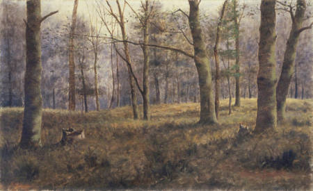 Untitled (Woodland scene)