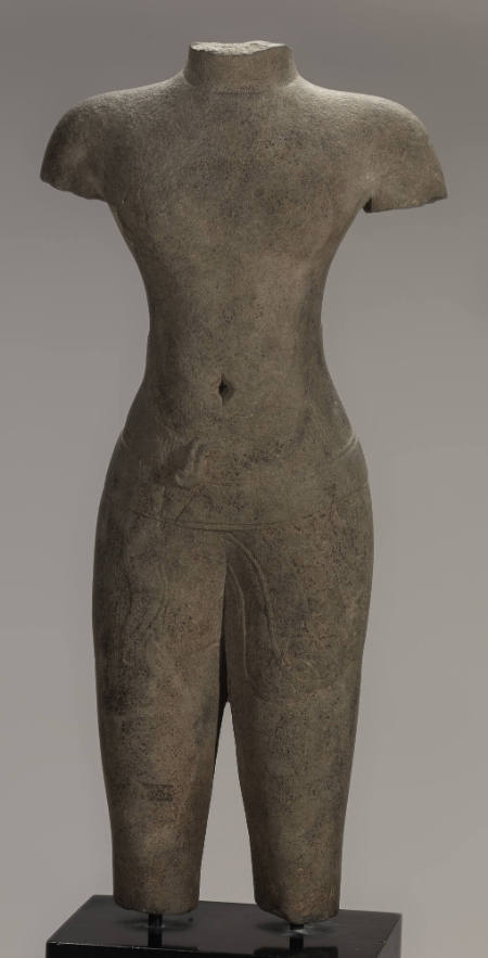 Male torso
