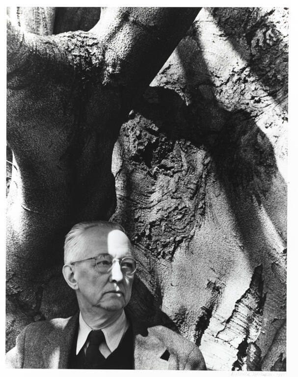 Charles Sheeler and his favorite beech tree