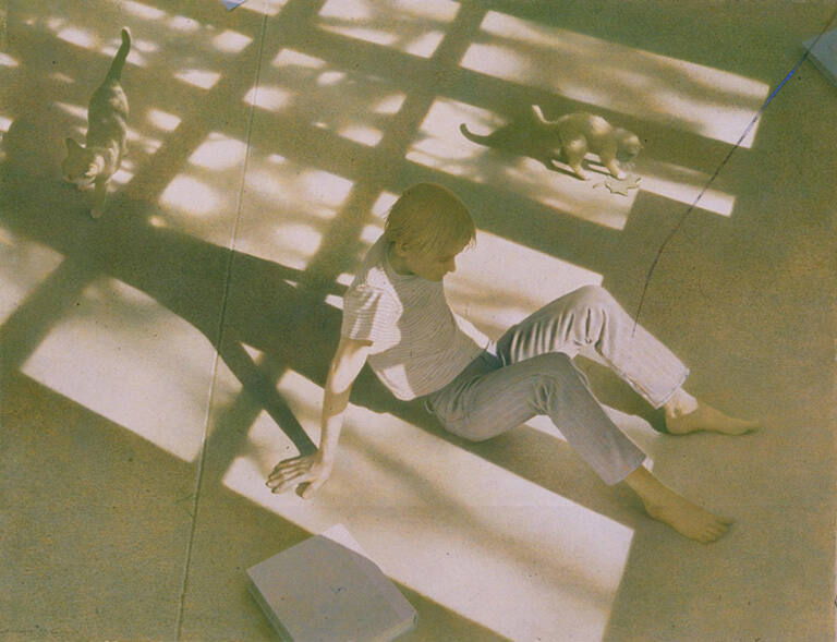 Boy with Kitten (In the Boathouse)