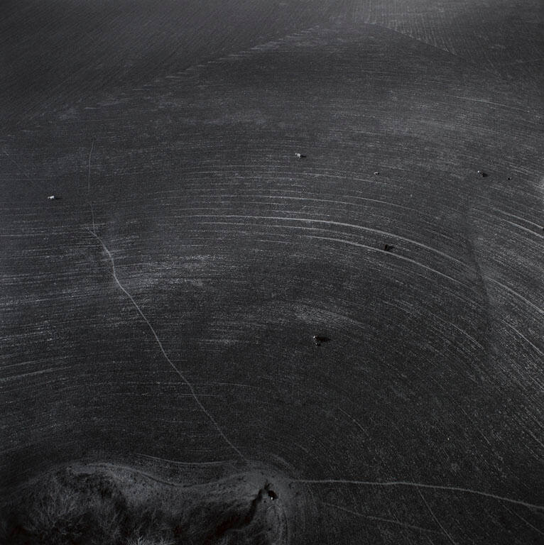 Aerial view: Cows, tracks, furrows - vicinty of Tulsa, Oklahoma