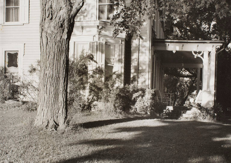 Three bay window and tree (variant)