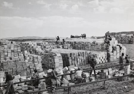 [Giant supply dump of the Army Quartermaster Corps of supplies for the Italian front, Bizerte, Tunisia]