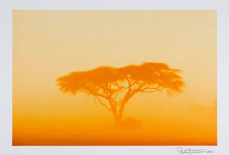 Dust storm, from the portfolio Selected Color Images