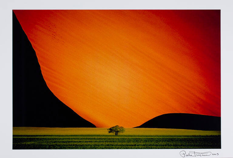 Sand dune and tree, from the portfolio Selected Color Images