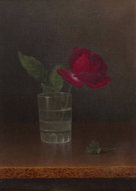 Red Rose in a Tumbler