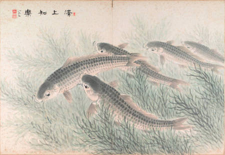 Swimming Carp