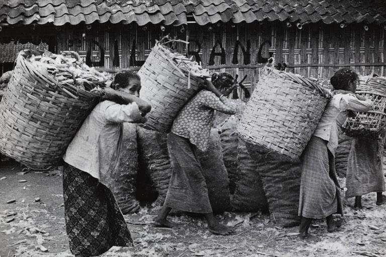 Women carrying huge baskets of Kapok shells into factory near Kudus, Indonesia