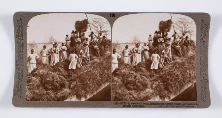 A rice-raft with plantation hands, near Georgetown, South Carolina.