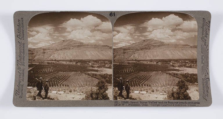 Grand River Valley and its famous peach orchards (N.N.W.), Palisade, Colo.