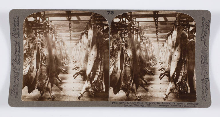 A half-mile of pork in Armour's great packing-house, Chicago, Ill.