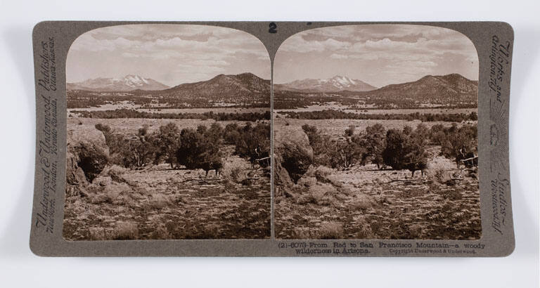 From Red to San Francisco Mountain—a woody wilderness in Arizona