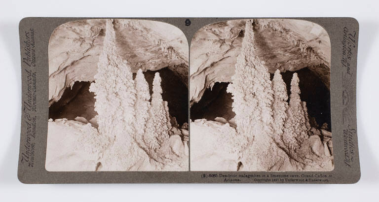 Dendritic stalagmites in a limestone cave, Grand Canyon of Arizona