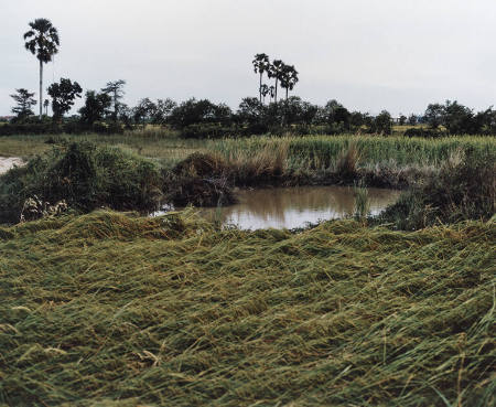 Kandal I, from the series The Bomb Ponds