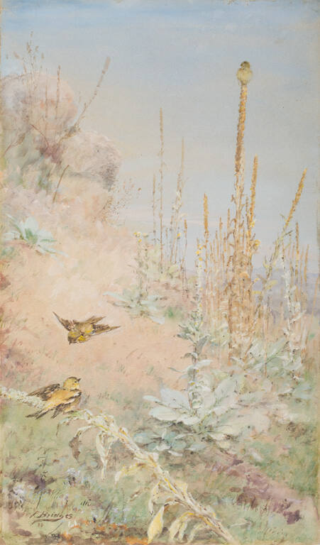 Mullein and Goldfinches