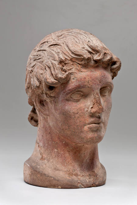 Head of a boy