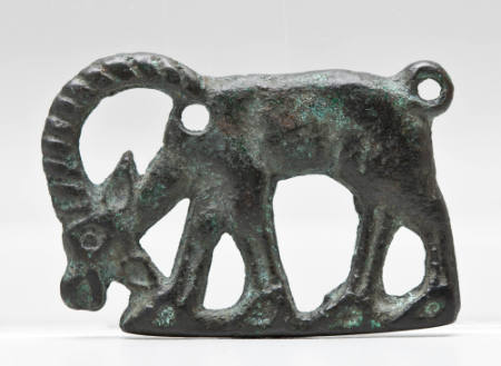 Belt hook of a grazing ibex