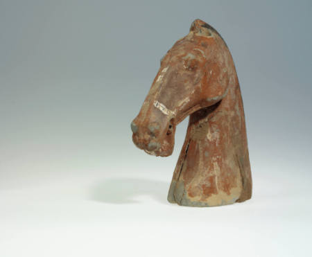 Head of a horse
