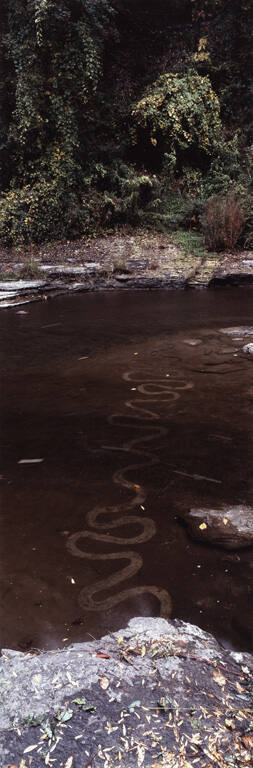 River Bed / Hand Drawing, Cornell, New York