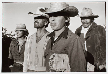 Illegal immigrants from Querétaro working in the citrus fields of Maricopa County, Arizona
