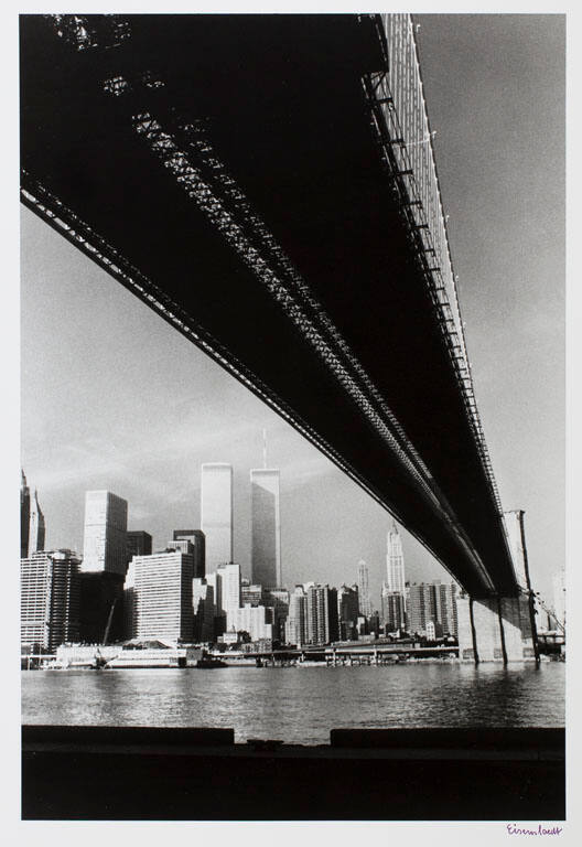 Untitled from A LIFE Portfolio: Brooklyn Bridge, Photographed for its 100th Anniversary