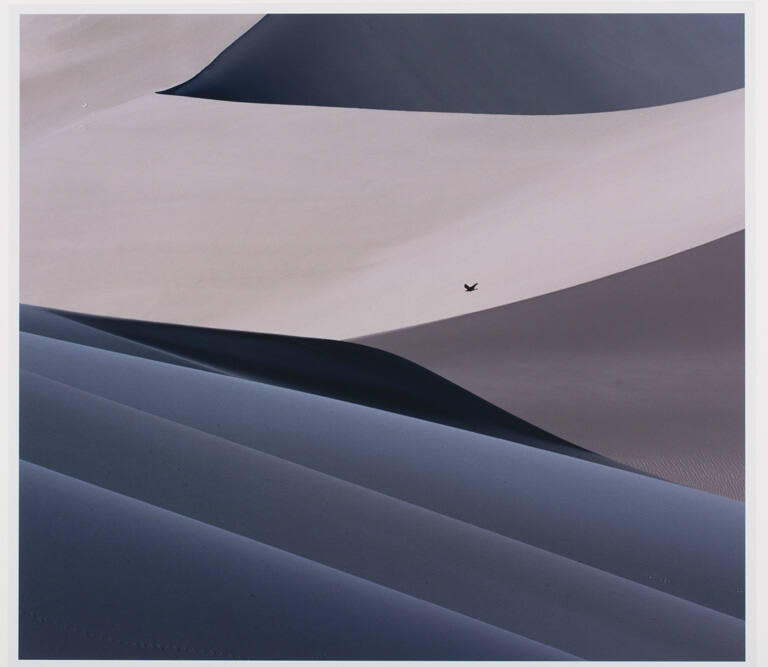 Raven over the 4th Dimension, print 5 from the portfolio Between Light and Shadow: Great Sand Dunes National Park