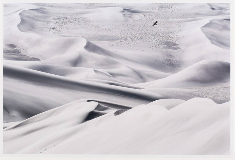 Golden Eagle over Midday Dunes, print 12 from the portfolio Between Light and Shadow: Great Sand Dunes National Park