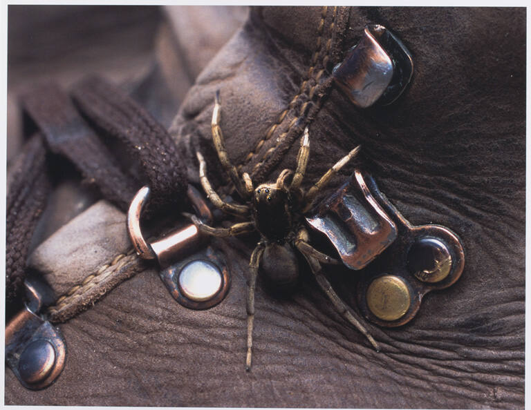 Wolf Spider and Boot, print 19 from the portfolio Between Light and Shadow: Great Sand Dunes National Park