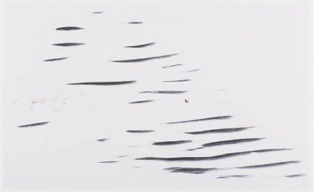 Horned Lark Fighting the Wind, print 20 from the portfolio Between Light and Shadow: Great Sand Dunes National Park