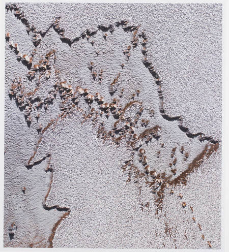 Raised Coyote Tracks through an Eroded Snow Field, print 27 from the portfolio Between Light and Shadow: Great Sand Dunes National Park