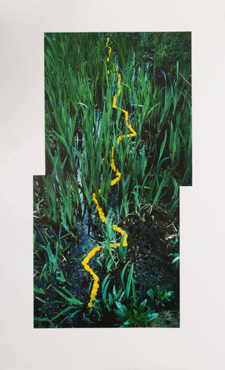 Dandelion Line In a Pond, Yorkshire Sculpture Garden