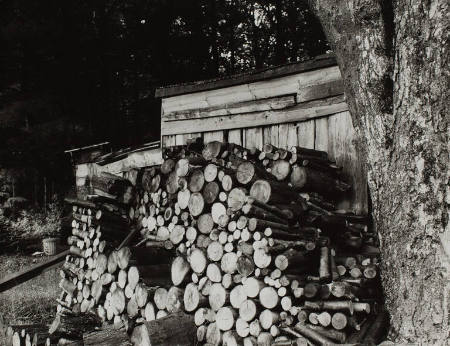 Study of wood pile