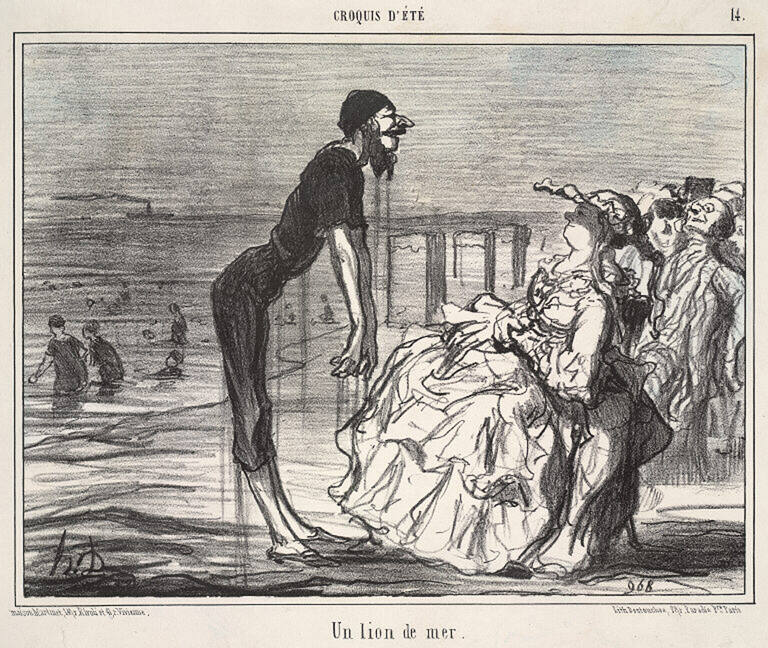 Croquis d'été - Un lion de mer