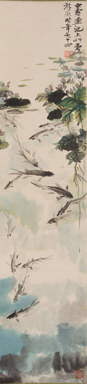 A group of small fish